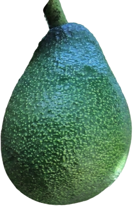 Avocado Fuerte con buccia liscia e verde
