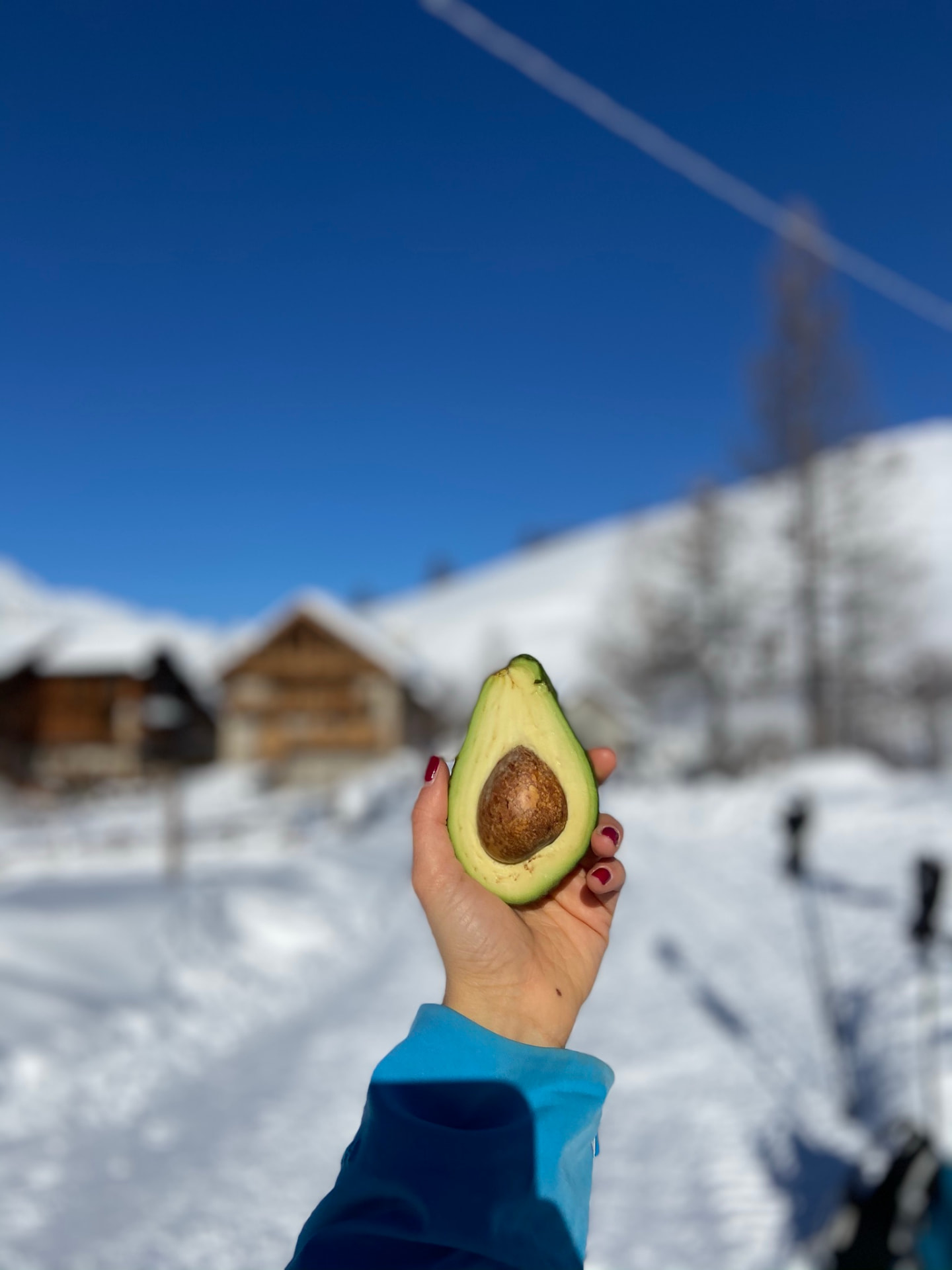 Mezzo avocado raccolto in montagna